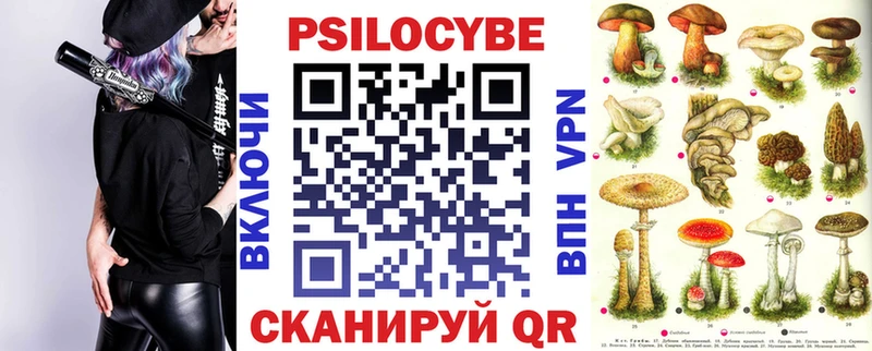Псилоцибиновые грибы Cubensis  Ногинск 