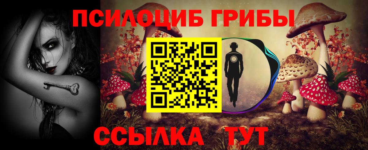 Псилоцибиновые грибы Cubensis Ногинск